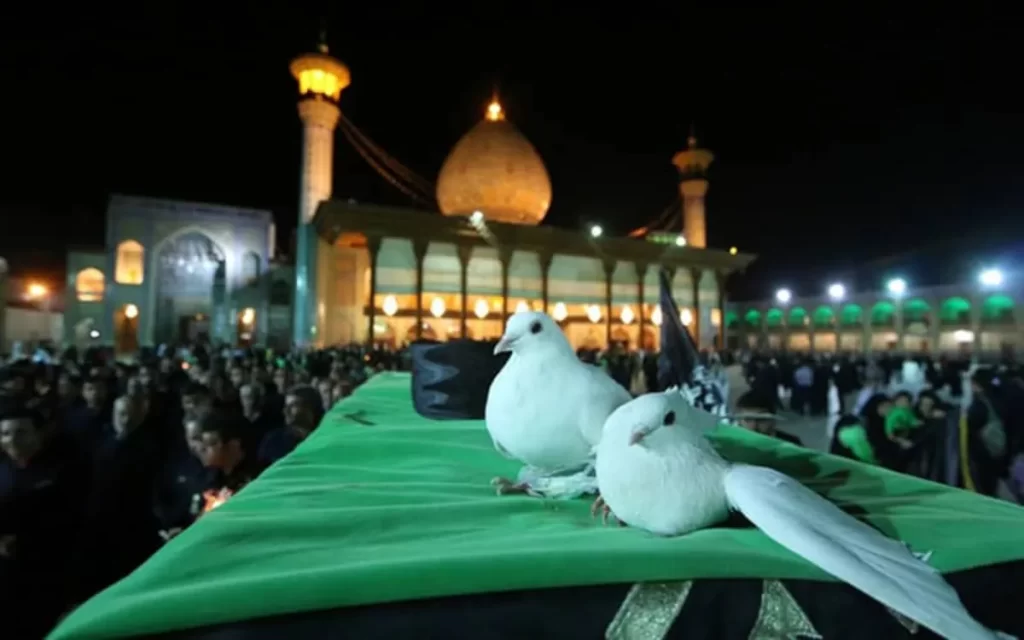 نگاهی به زندگانی حضرت شاهچراغ (ع