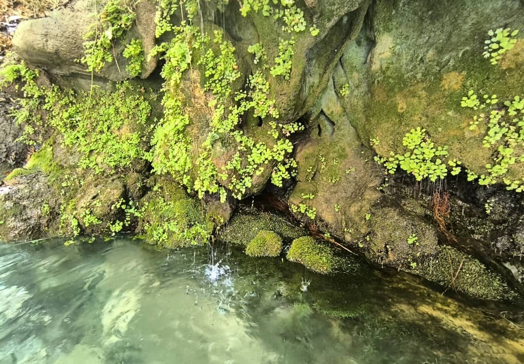 جازبه های مختلف ده گردو شیراز