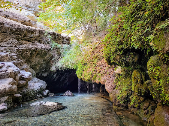 جازبه های مختلف ده گردو شیراز