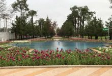 پارک باغ جنت شیراز