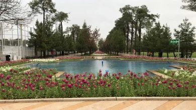 پارک باغ جنت شیراز