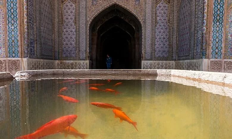 تاریخچه مسجد وکیل