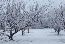 آغاز بارش برف و باران