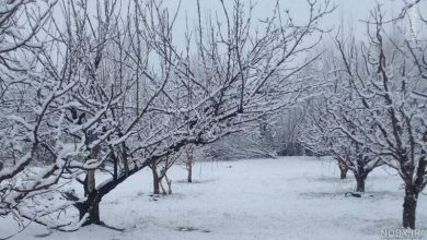 آغاز بارش برف و باران