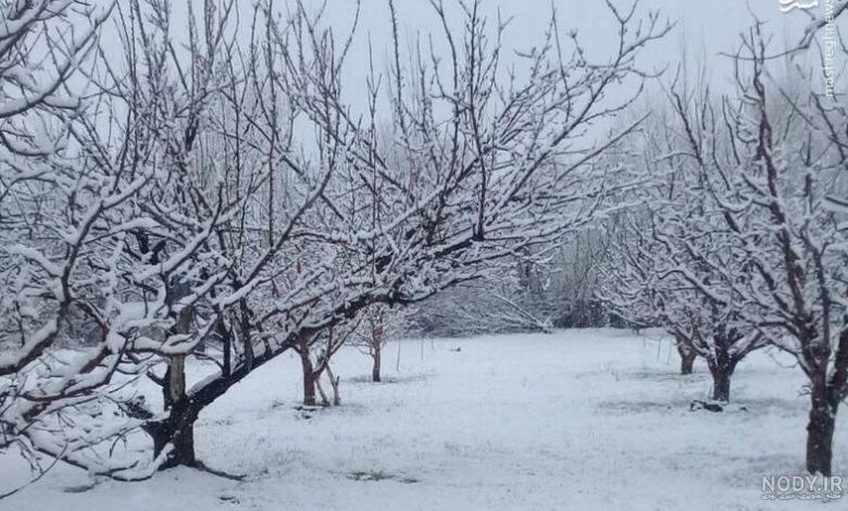 آغاز بارش برف و باران