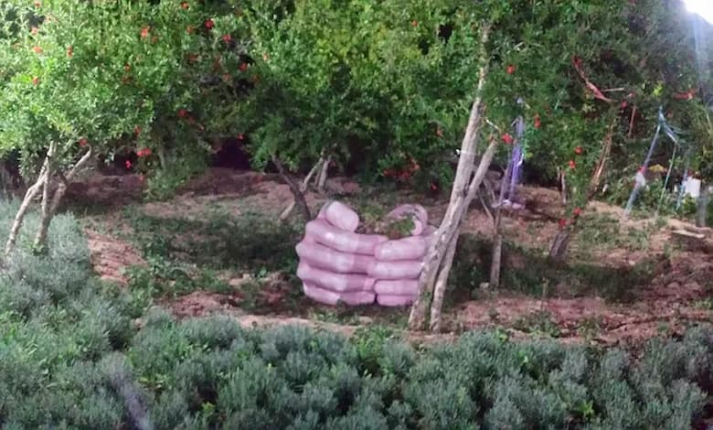 پارک بعثت شیراز