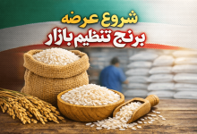 آغاز عرضه برنج تنظیم بازار