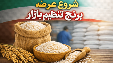 آغاز عرضه برنج تنظیم بازار