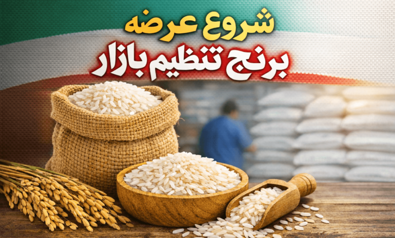 آغاز عرضه برنج تنظیم بازار