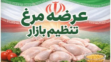 عرضه مرغ تنظیم بازار