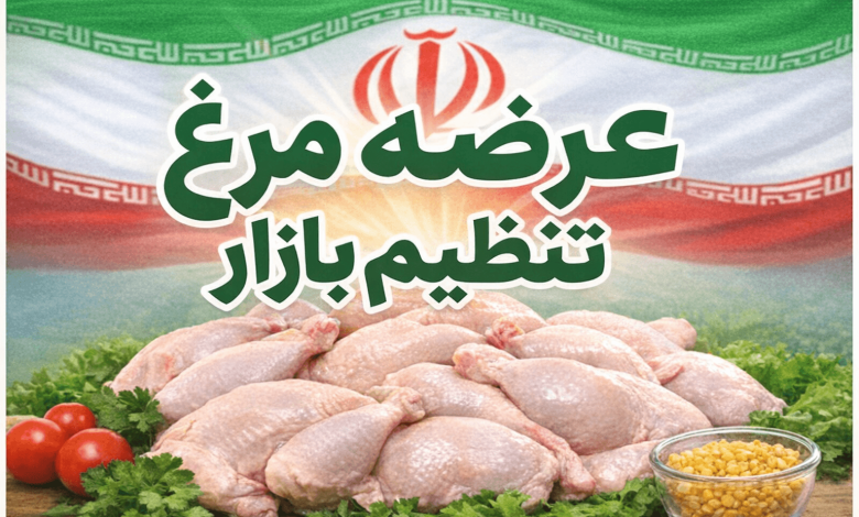 عرضه مرغ تنظیم بازار