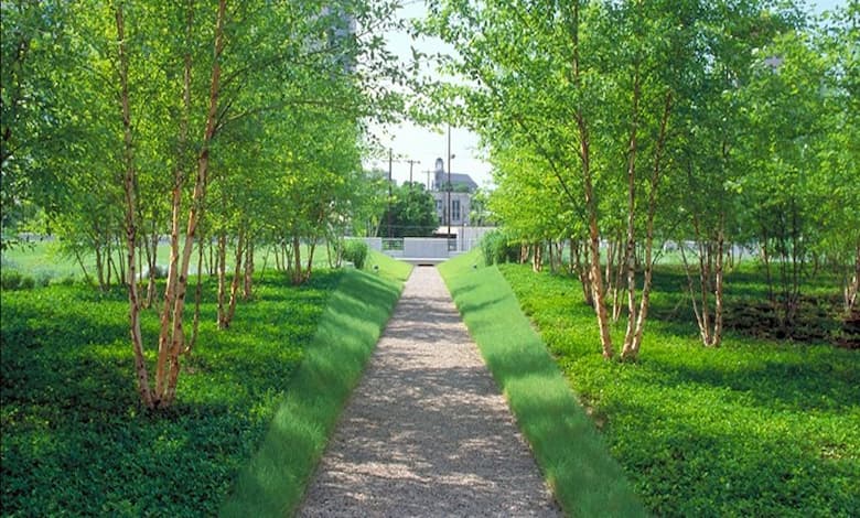 پارک مادر شیراز 