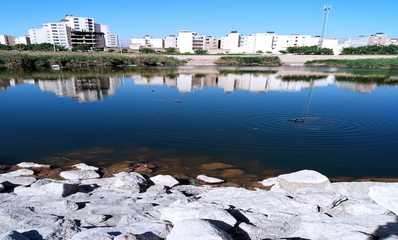 پارک فروزان شیراز