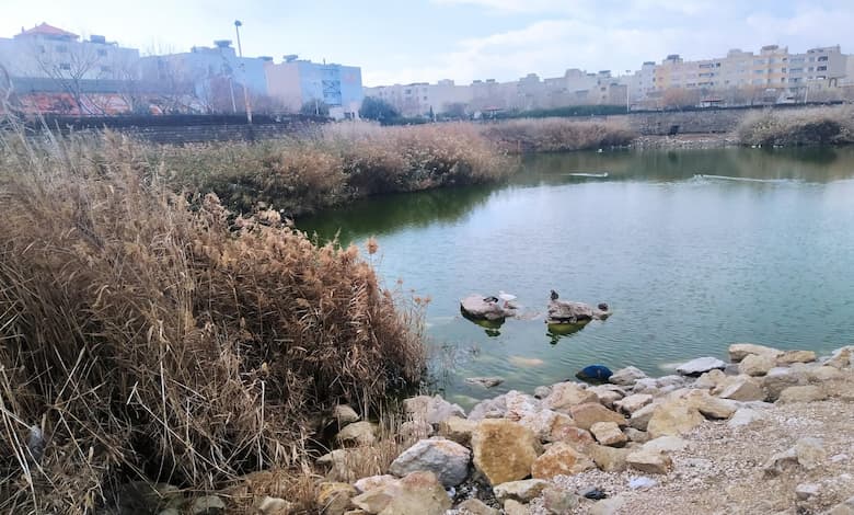 پارک فروزان شیراز 