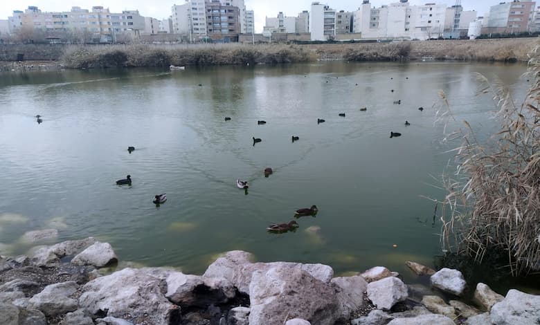 دریاچه فروزان و نقش آن در زیبایی پارک فروزان شیراز 