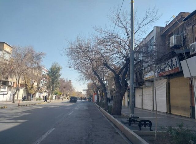 وضعیت امروز بازار شیراز