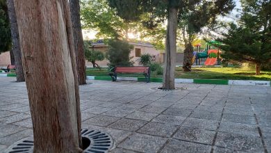 بوستان کوثر شیراز