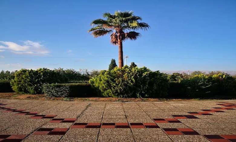 امکانات و ویژگی های پارک مادر شیراز 