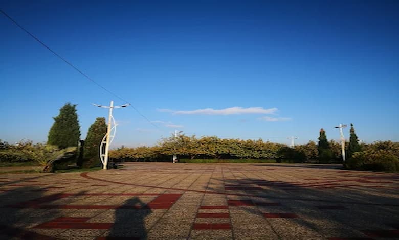 تاریخچه پارک مادر شیراز 