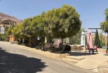 پارک کوهستانی شهرک گلستان شیراز