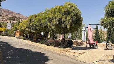 پارک کوهستانی شهرک گلستان شیراز