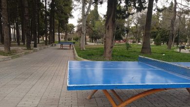 پارک ارغوان شیراز