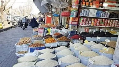 افزایش قیمت برنج، روغن و حبوبات تابع نرخ ارز است/ خرما فراوان، اما گران است