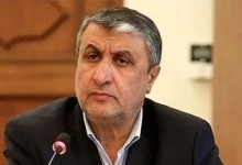 احتمال رقیق سازی اورانیوم ۶۰ درصد در مقابل لغو تمامی تحریمها/ خروج اورانیوم از کشور در مذاکرات مطرح نشده است