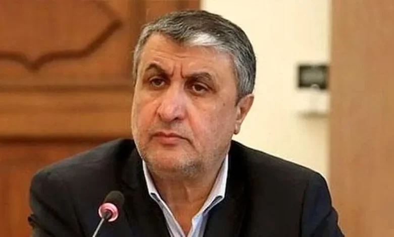 احتمال رقیق سازی اورانیوم ۶۰ درصد در مقابل لغو تمامی تحریم‌ها/ خروج اورانیوم از کشور در مذاکرات مطرح نشده است