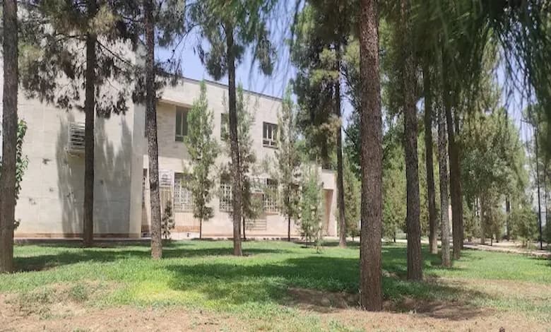 تاثیرات مثبت پارک ارغوان شیراز بر سلامت روان 