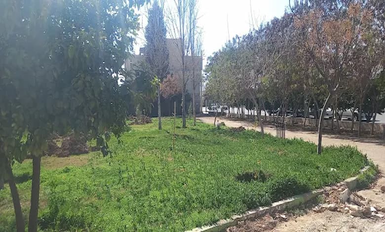 پارک ارغوان شیراز 