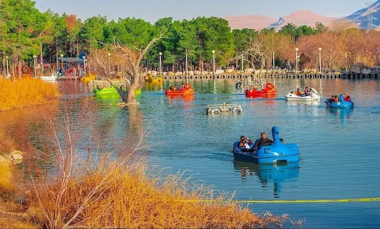 نکات مهم برای بازدیدکنندگان پارک جنگلی زرقان شیراز 