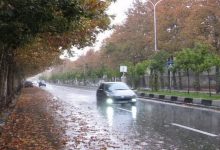 بارش استان فارس