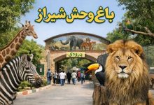 باغ وحش شیراز
