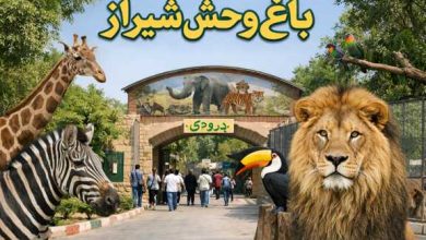 باغ وحش شیراز