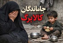 جاماندگان کالا برگ