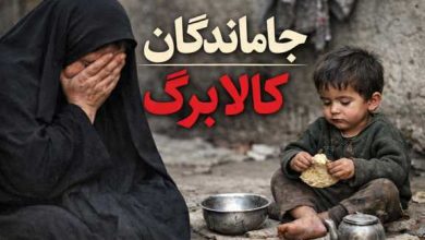 جاماندگان کالا برگ