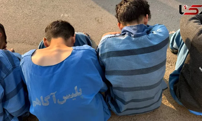 سرقت در شیراز