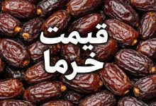 قیمت خرما