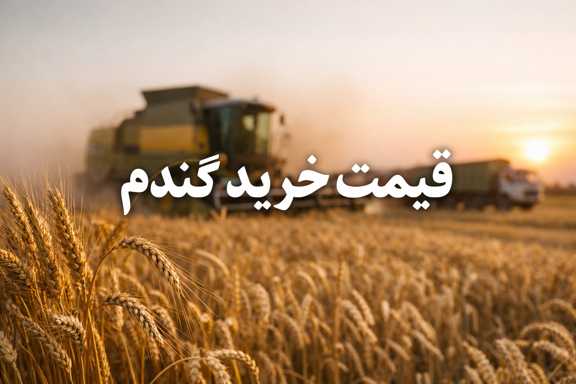 قیمت خرید گندم