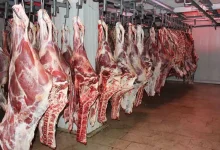 قیمت گوشت قرمز
