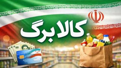 کالا برگ