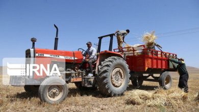 کشاورزی استان فارس