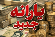 یارانه جدید