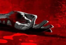 قتل دختر ۱۴ ساله شیرازی توسط پسر ۲۴ ساله