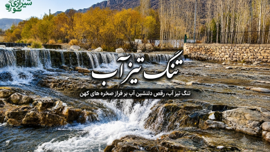 منظره ای از تنگ تیزاب شیراز