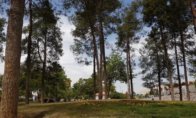 بوستان ولیعصر شیراز